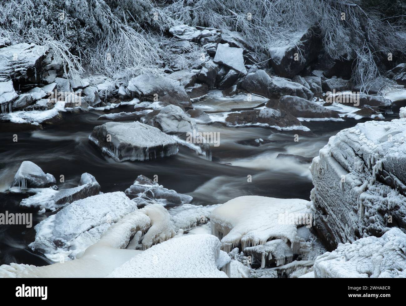 Ein Bach, der durch eine vereiste Landschaft mit schneebedeckten Felsen und Bäumen in West Virginia fließt Stockfoto