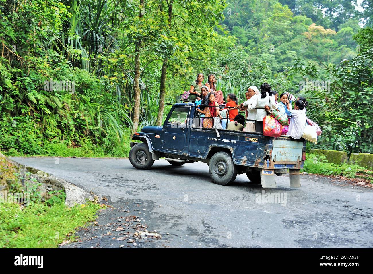 Frauen in Jeep, Makaibari Tea Estate, Kurseong, Darjeeling, Westbengalen, Indien, Asien Stockfoto