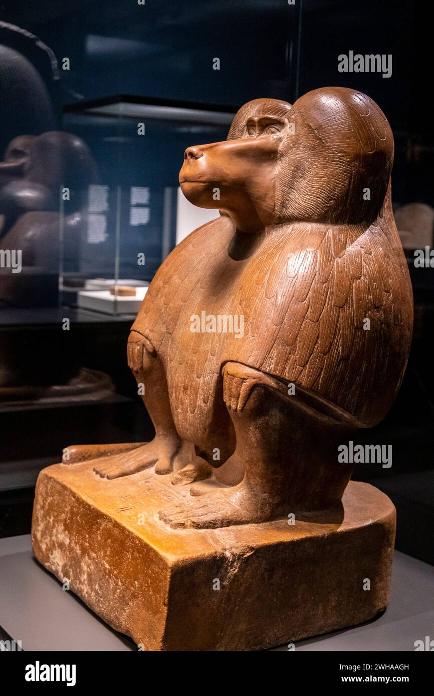 Figur eines hockenden Pavions, roter Quarzit, 18. Dynastie regierender Amenhotep III, Sammlung des British Museum Stockfoto