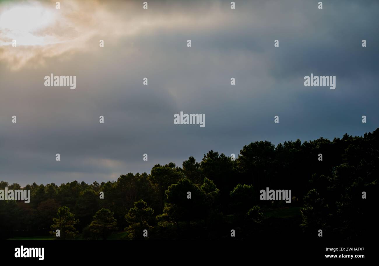 Bewölktes Wetter sorgt für eine ruhige und stimmungsvolle Atmosphäre über den grünen Bäumen und schafft eine ätherische und ruhige Landschaft im Freien. Stockfoto