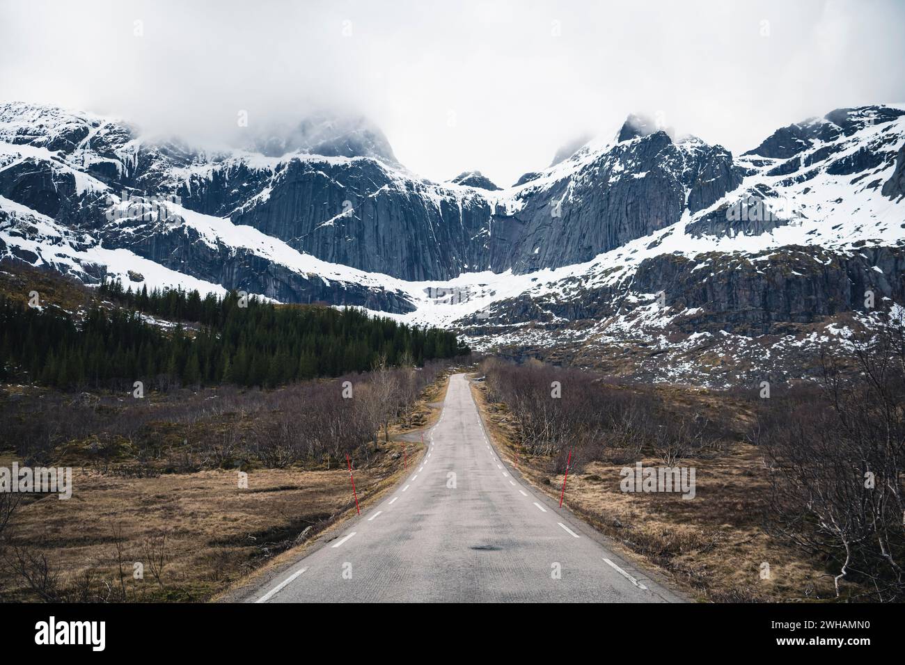 Leere Straße auf dem Feld, die in Richtung schneebedeckter Berge führt Stockfoto