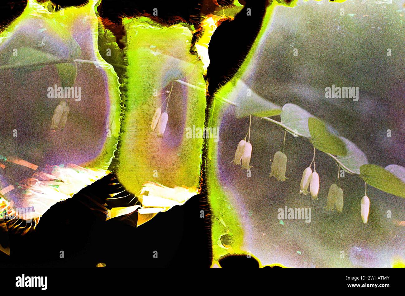 Kreativ abstrakt Experimental mit unerwarteten Mustern Stockfoto