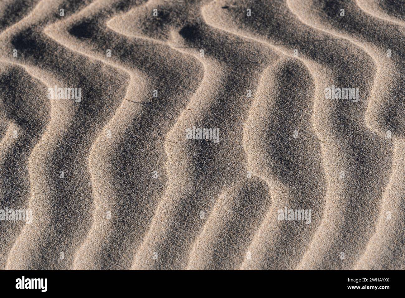 Am Crantock Beach an der Küste von Newquay in Cornwall, Großbritannien. Stockfoto