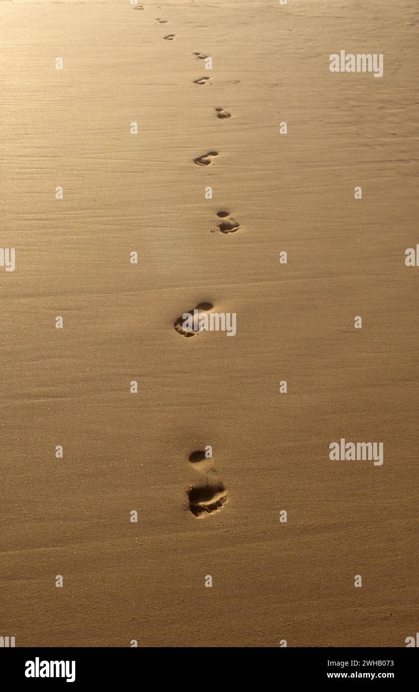 Menschliche Schritte im nassen Sand am Strand Stockfoto