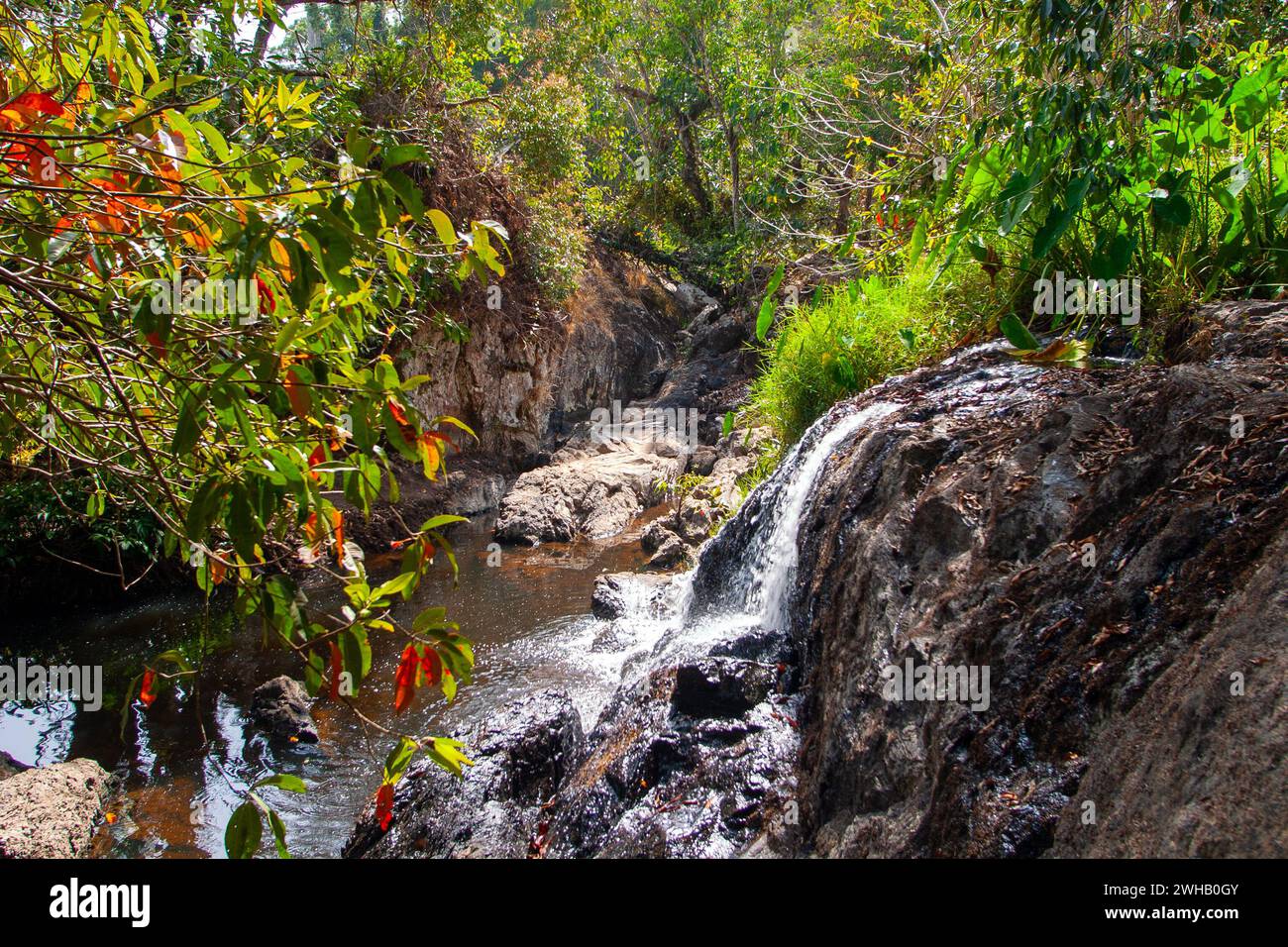 Wasserfall und Fluss im Khao Yai Nationalpark ist ein Nationalpark in Thailand. 1962 als erster Nationalpark Thailands gegründet, ist er der dritte Stockfoto