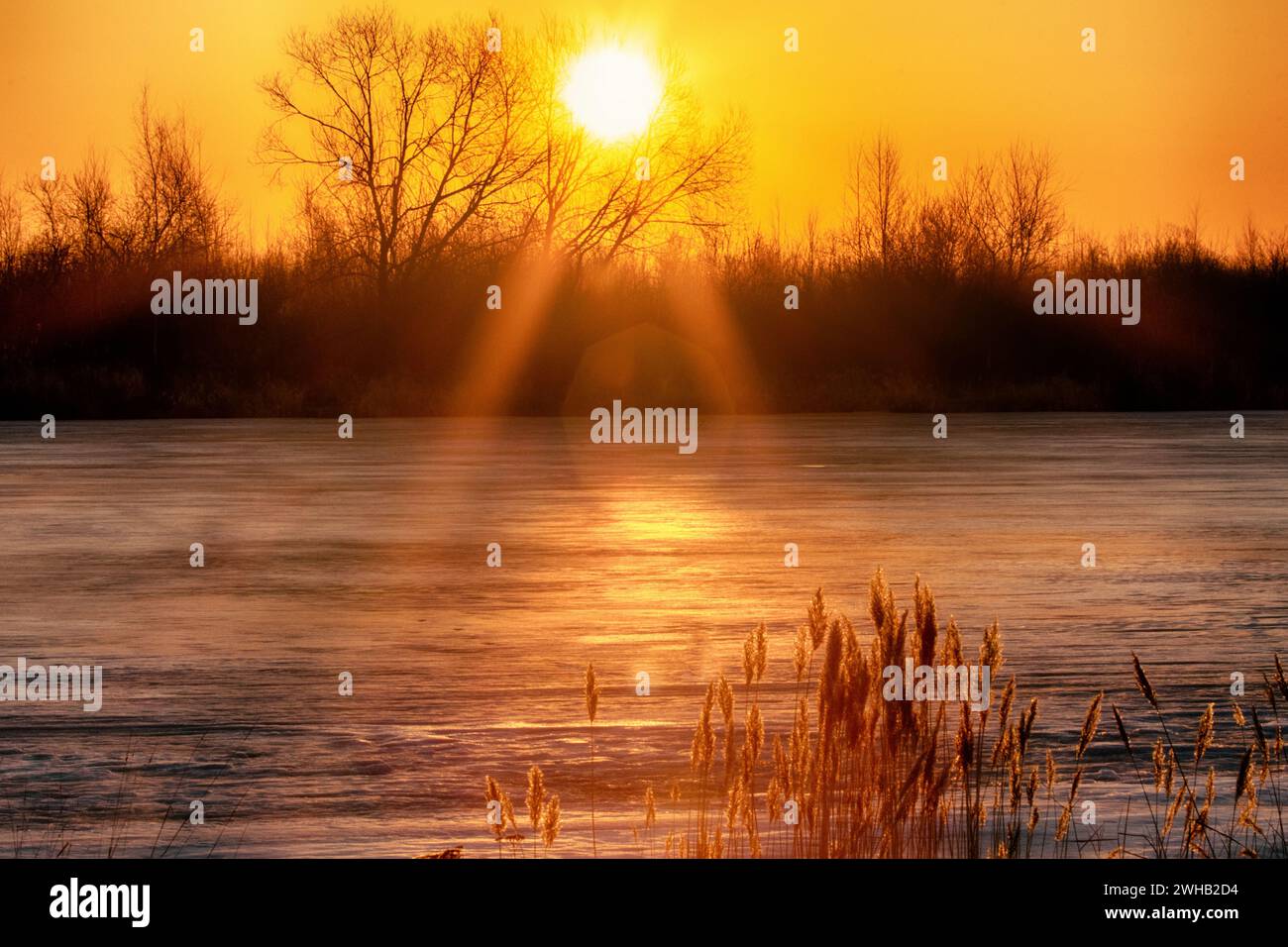 Frühlingslandschaft. Sonnenaufgang der Sonnenscheibe über dem nördlichen Eisfluss, auf den unbedeckten Winterwasserwäldern. Die Sonnenstrahlen werden heiß reflektiert Stockfoto