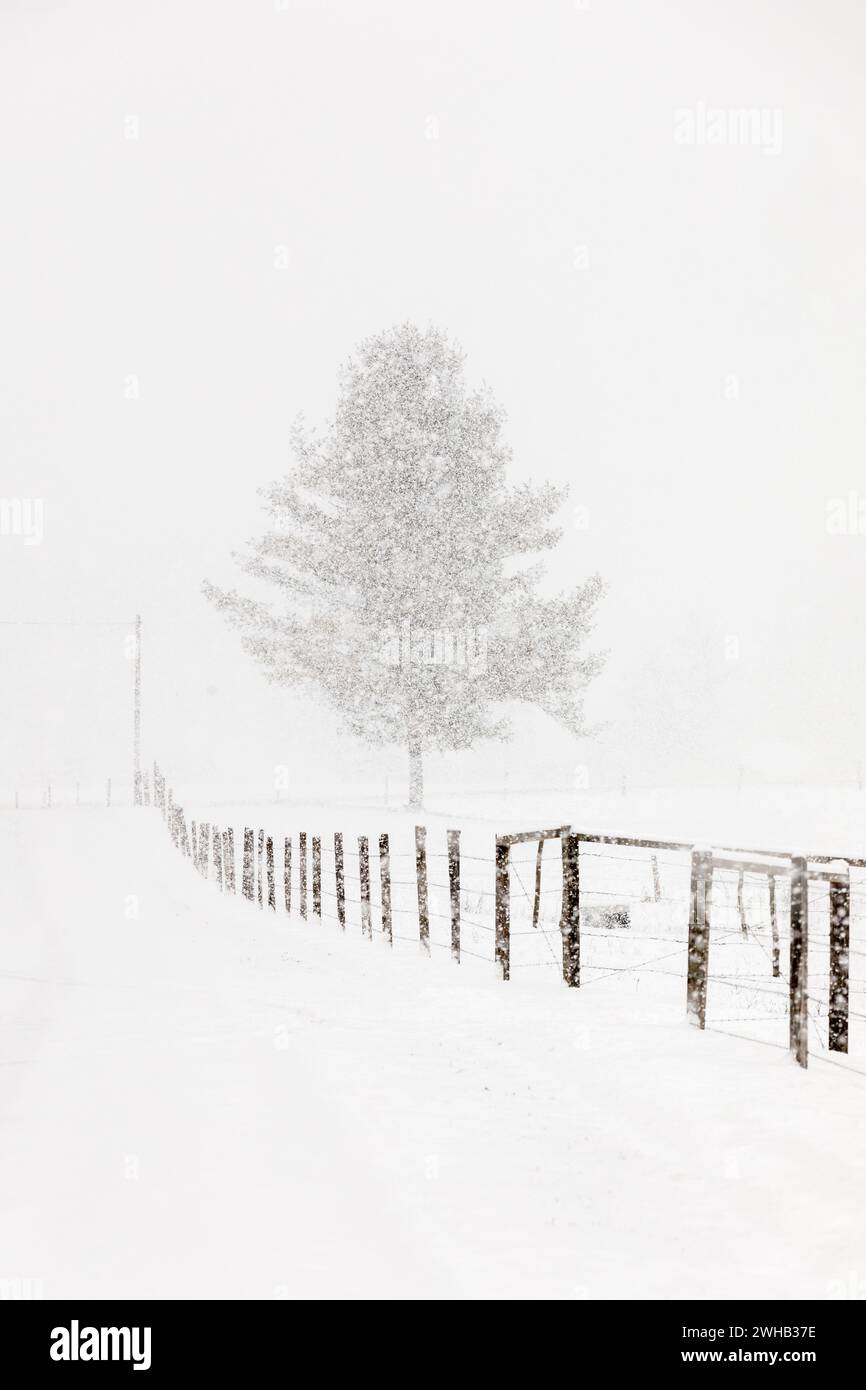 Schnee im Januar, im ländlichen Bauernland, Mohawk Valley, New York State, USA. Stockfoto