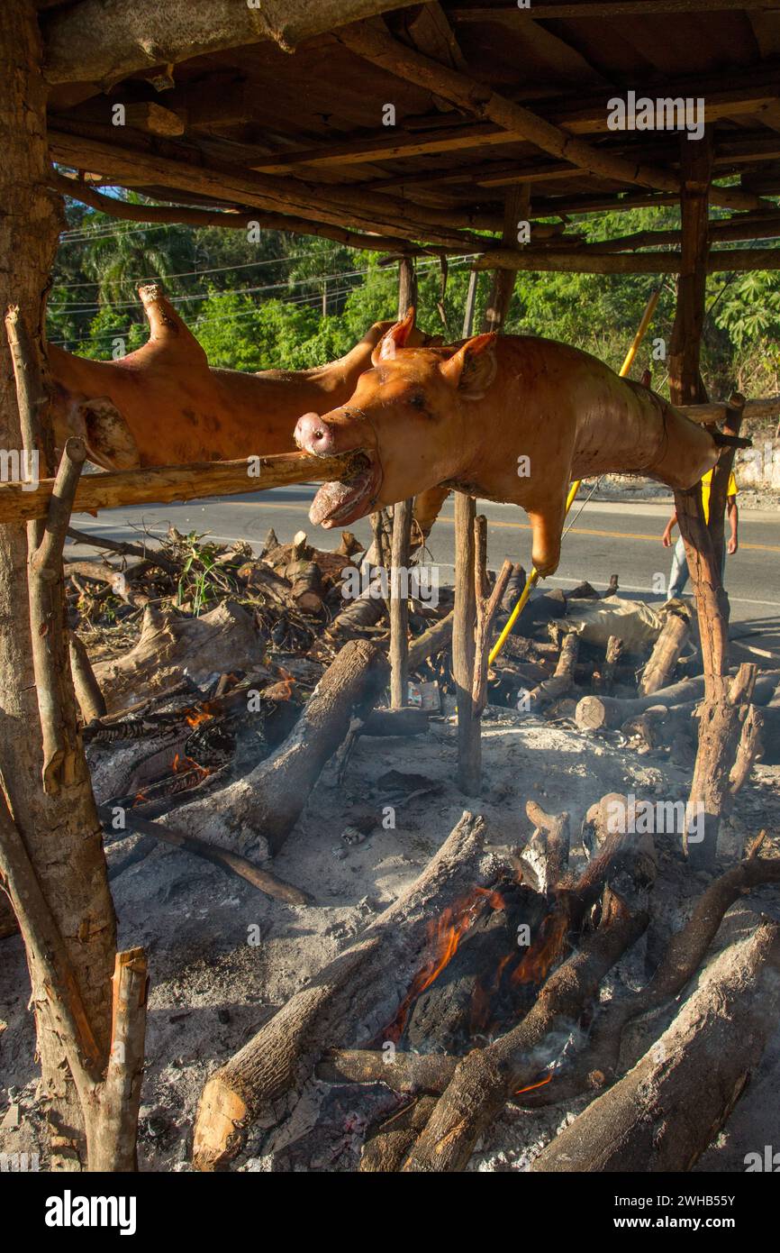 Ganze Schweine draußen auf Holzspießen über einem offenen Holzfeuer an einem Straßenrand in Haina, Dominikanische Republik. Stockfoto