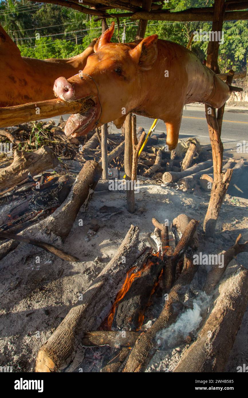 Ganze Schweine draußen auf Holzspießen über einem offenen Holzfeuer an einem Straßenrand in Haina, Dominikanische Republik. Stockfoto