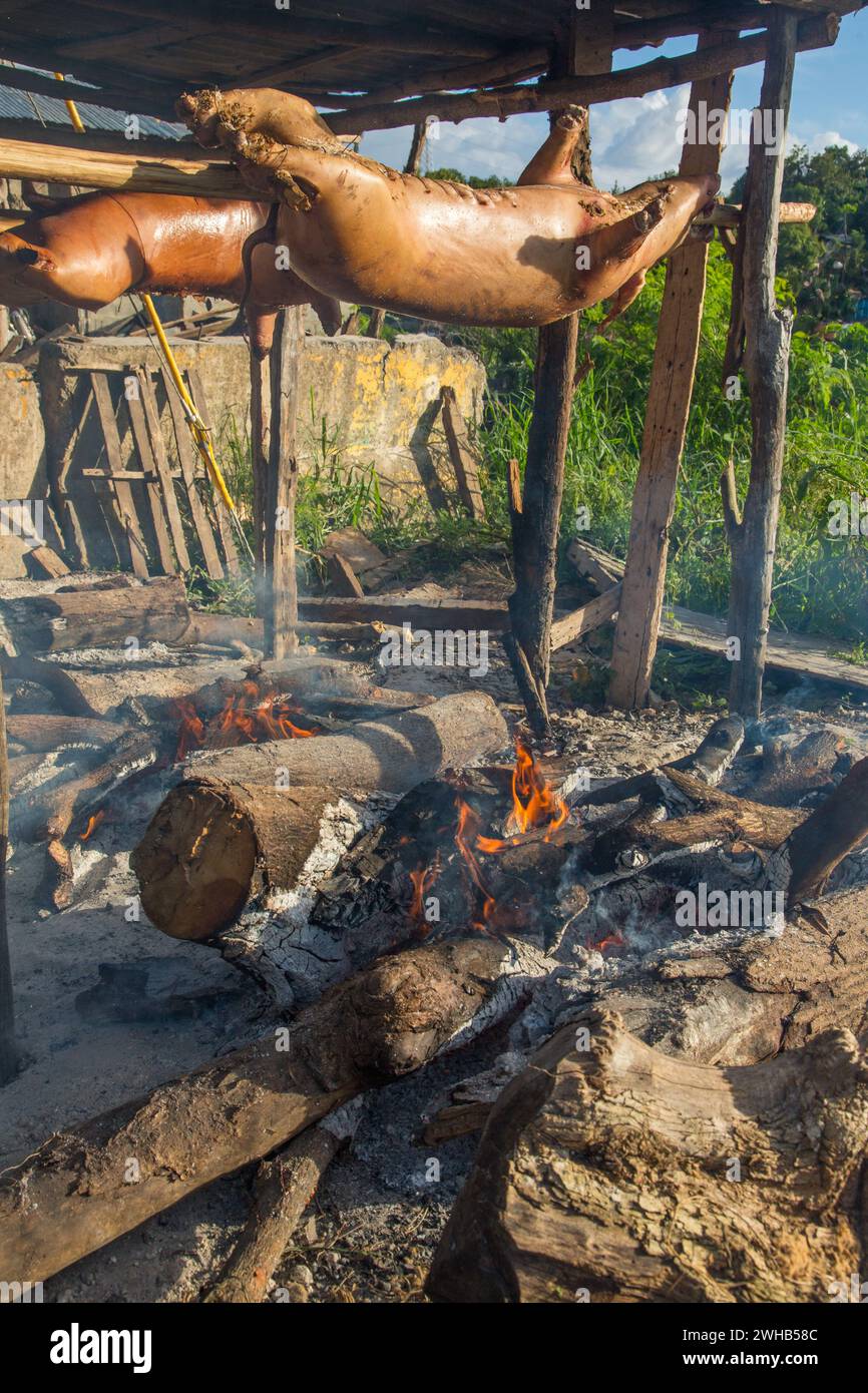 Ganze Schweine draußen auf Holzspießen über einem offenen Holzfeuer an einem Straßenrand in Haina, Dominikanische Republik. Stockfoto