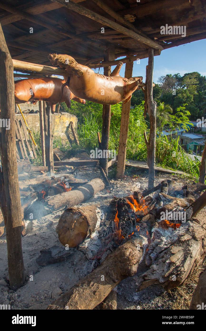 Ganze Schweine draußen auf Holzspießen über einem offenen Holzfeuer an einem Straßenrand in Haina, Dominikanische Republik. Stockfoto