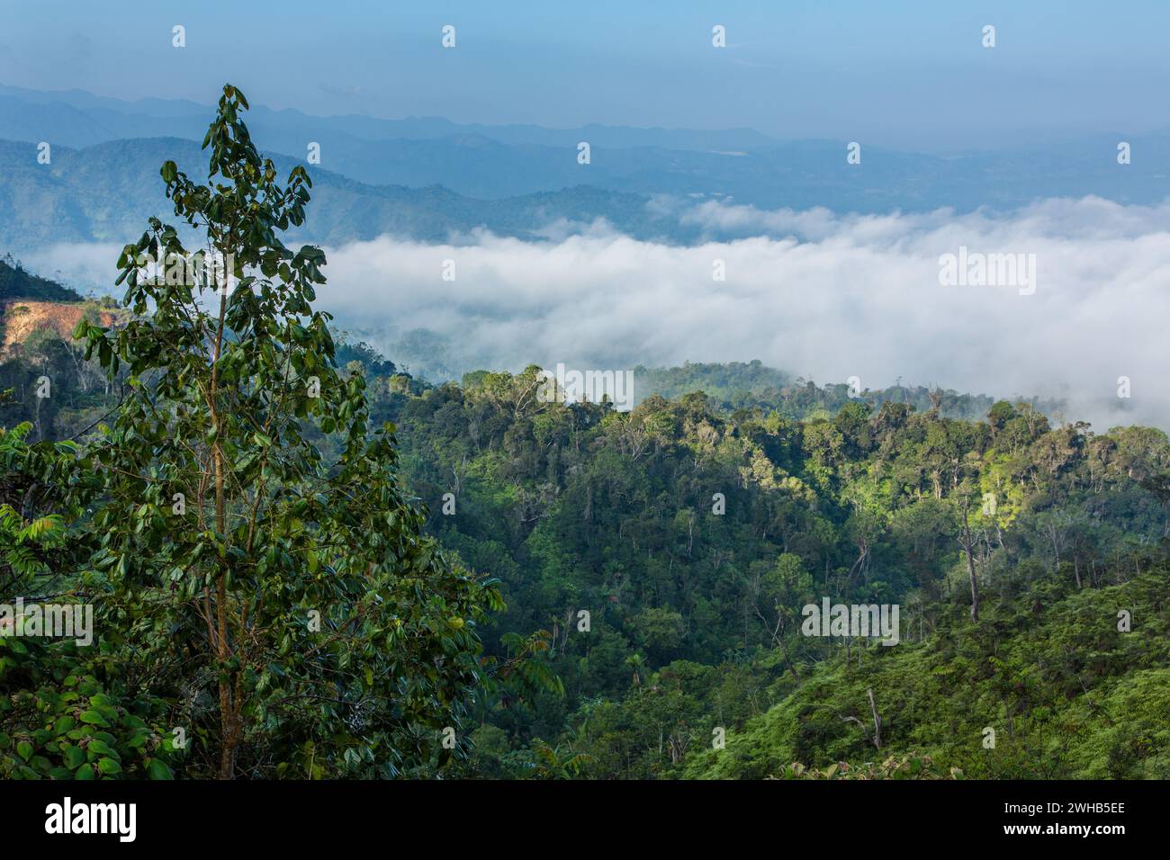 Landschaftsansicht der Berge und Wälder vom Alto de la Virgende la Altagracia in der Nähe von Constanza in der Dominikanischen Republik. Stockfoto