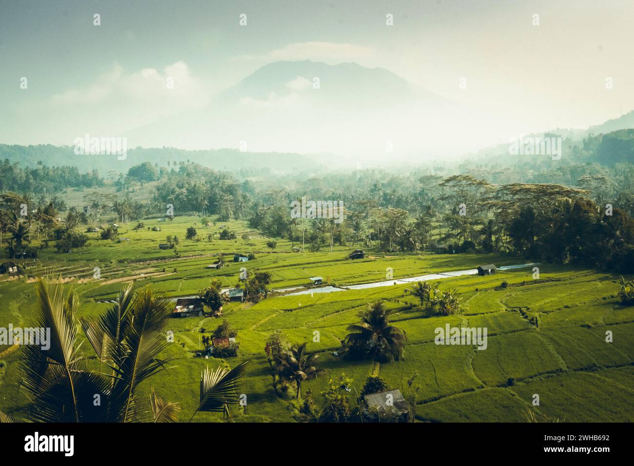 Großartige Bezahlung à Bali Stockfoto