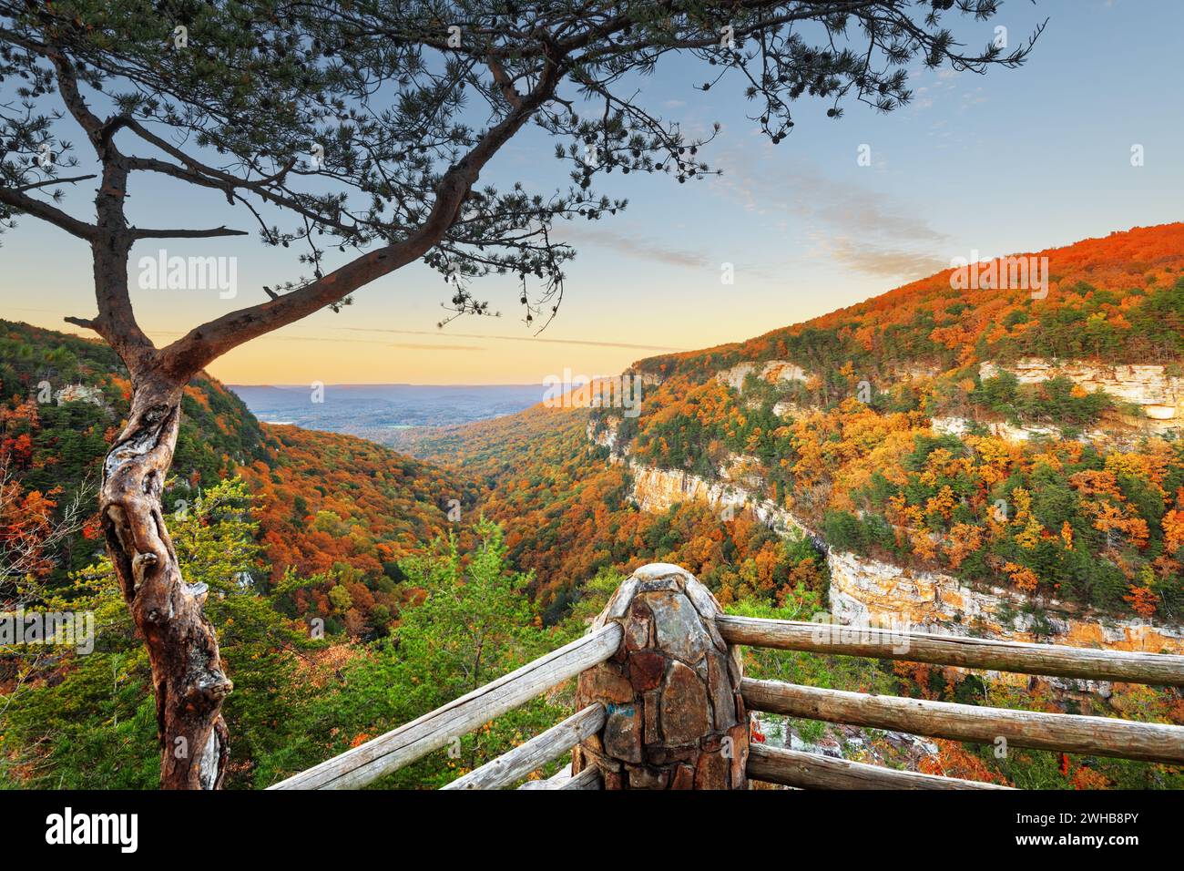 Cloudland Canyon, Georgia, USA Herbst Landschaft in der Abenddämmerung. Stockfoto