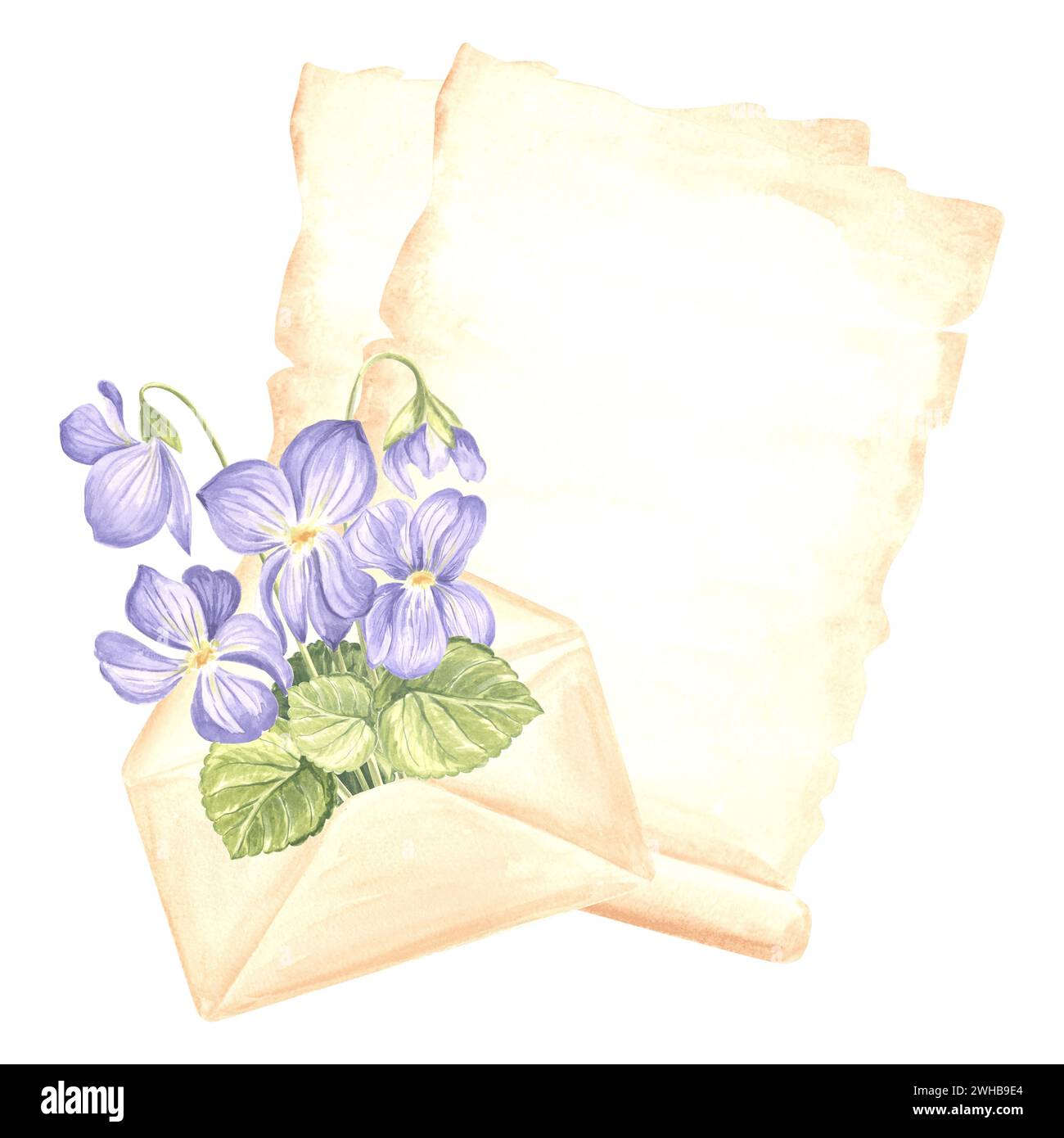 Blätter Pergamentpapier, offener Umschlag mit Blumenstrauß wilder Veilchen mit Blättern. Schreibzubehör. Isolierte handgezeichnete Aquarellillustraten Stockfoto