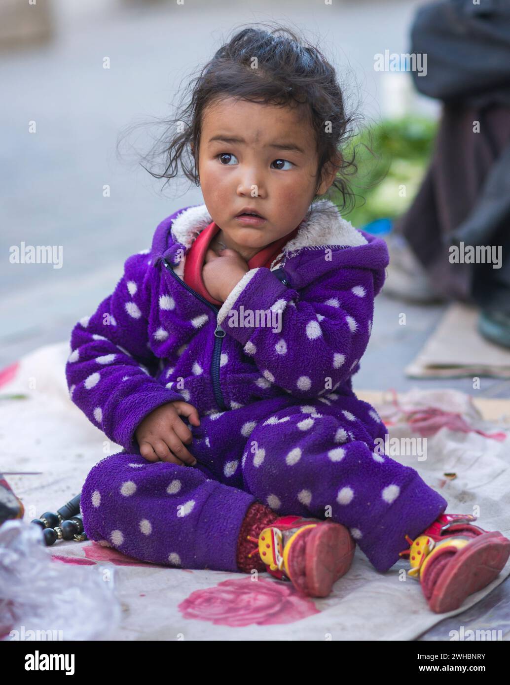 Ein Porträt eines Ladakhi-Mädchens, das von der Kamera wegschaut. Stockfoto