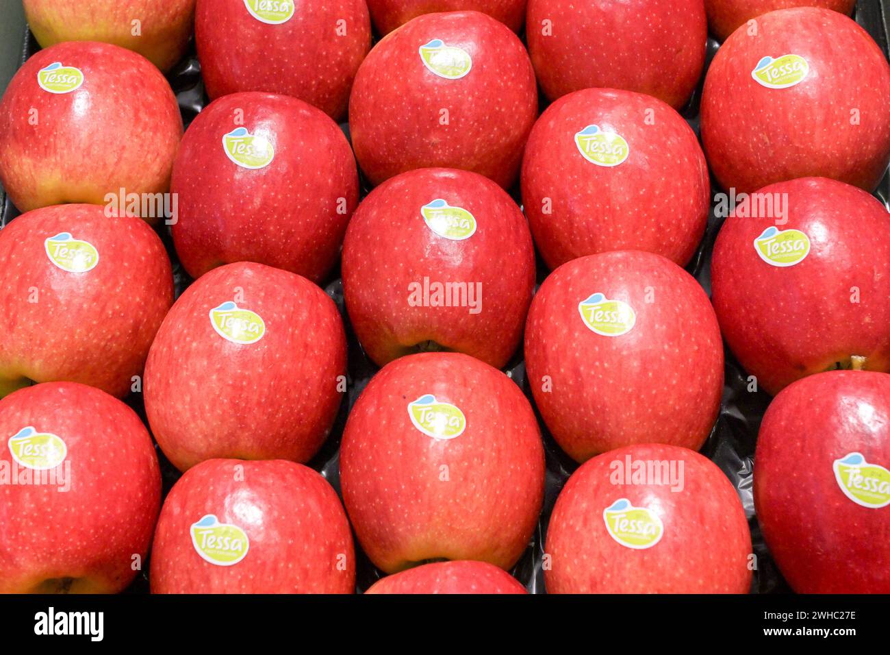Berlin, Deutschland 07.- 09. Februar 2024: Fruit Logistica - 2024 im Bild: Roter Äpfel in Reihen *** Berlin, Deutschland 07 09 Februar 2024 Fruit Logistica 2024 abgebildete rote Äpfel in Reihen Copyright: XFotostandx/xReuhlx Stockfoto