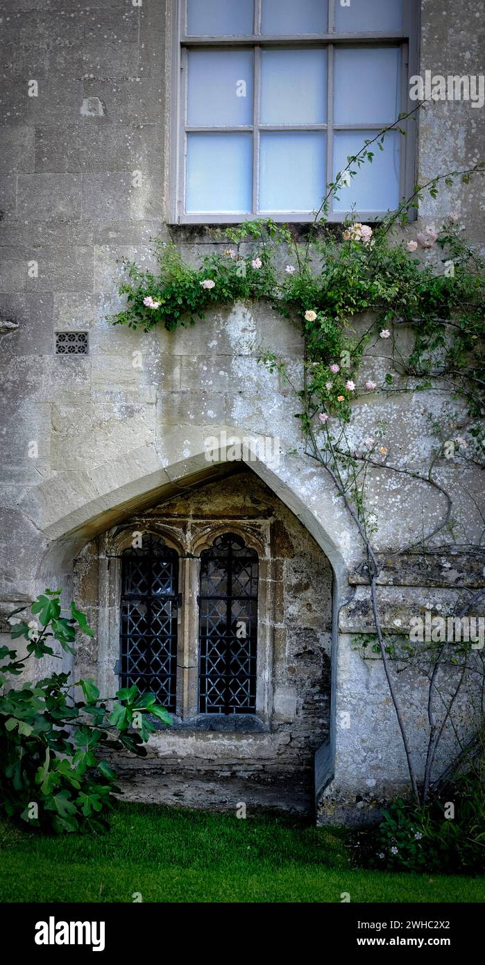 Bogenfenster im gotischen Stil in Lacock Abbey, Wilshire, Großbritannien. Stockfoto