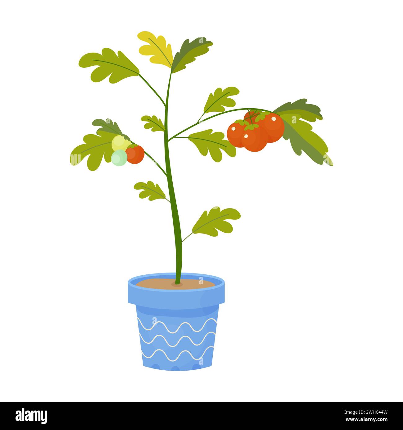 Kleine Kirschtomate auf dem Balkon in einem Topf, Vektor auf weißem Hintergrund Stock Vektor Kleine Kirschtomate auf dem Balkon in einem Topf, Vektor auf weißem Hintergrund Stock Vektor