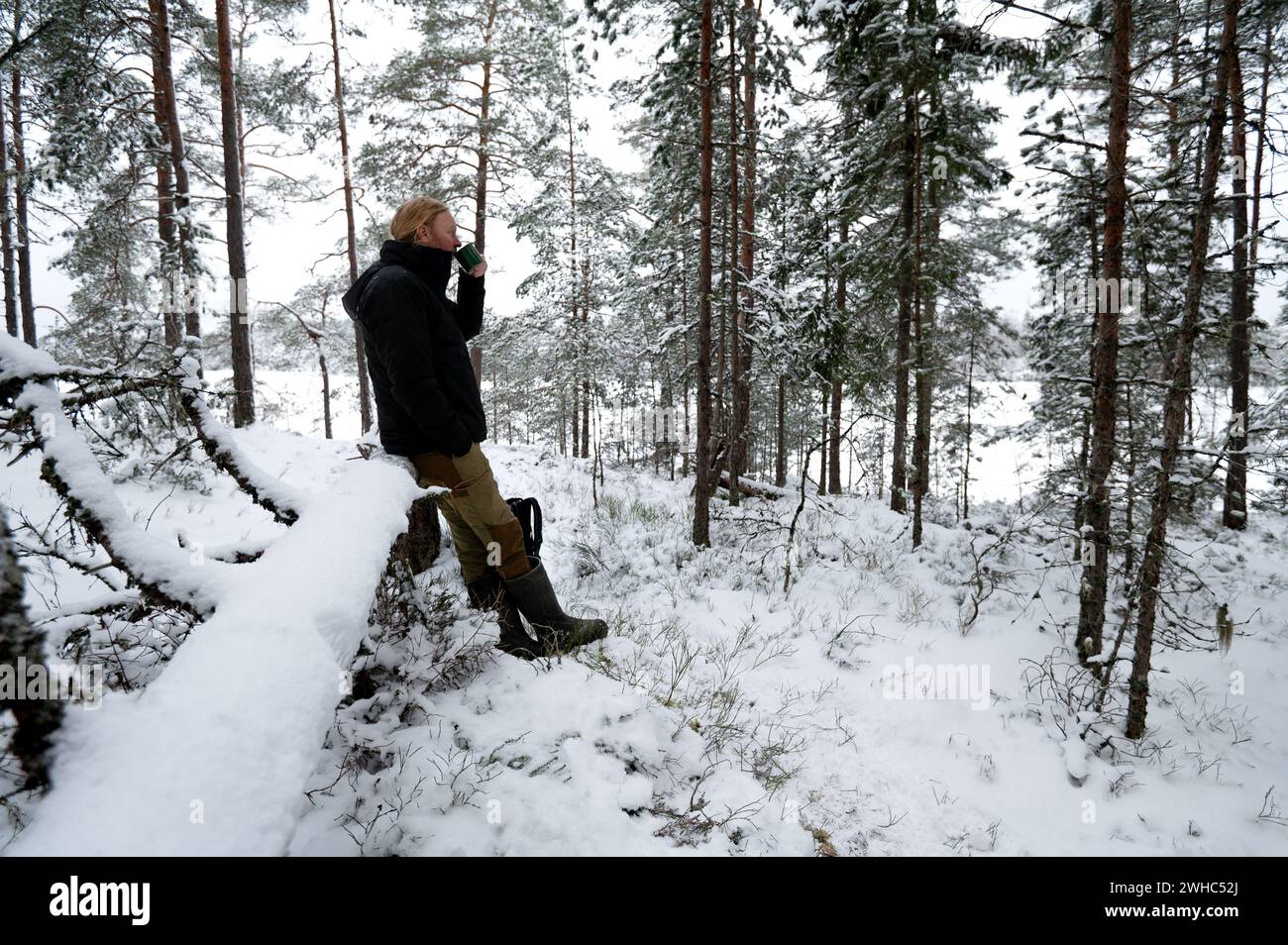 Der Mensch trinkt heißen Kaffee oder Tee und ruht sich im verschneiten Winterwald, Winterlandschaft in Schweden mit einsamem Wanderer, Stockfoto