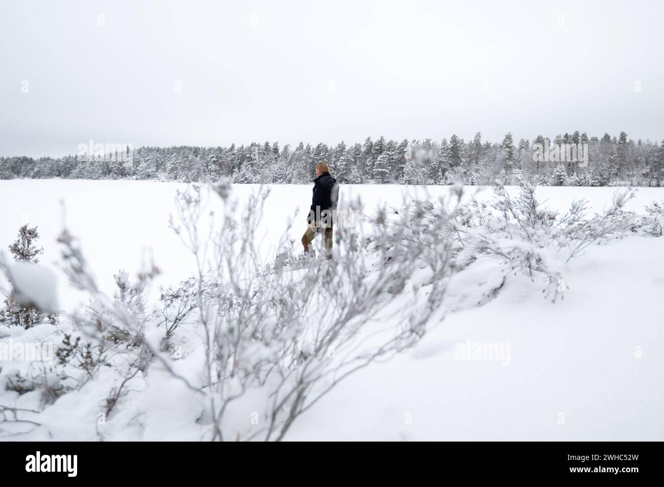 Erwachsener Mann, der am schneebedeckten Seeufer steht und weit weg auf Waldbäume blickt. Verbringen Sie Zeit allein an einem weißen, kalten, schneebedeckten Wintertag. Friedliches atmos Stockfoto