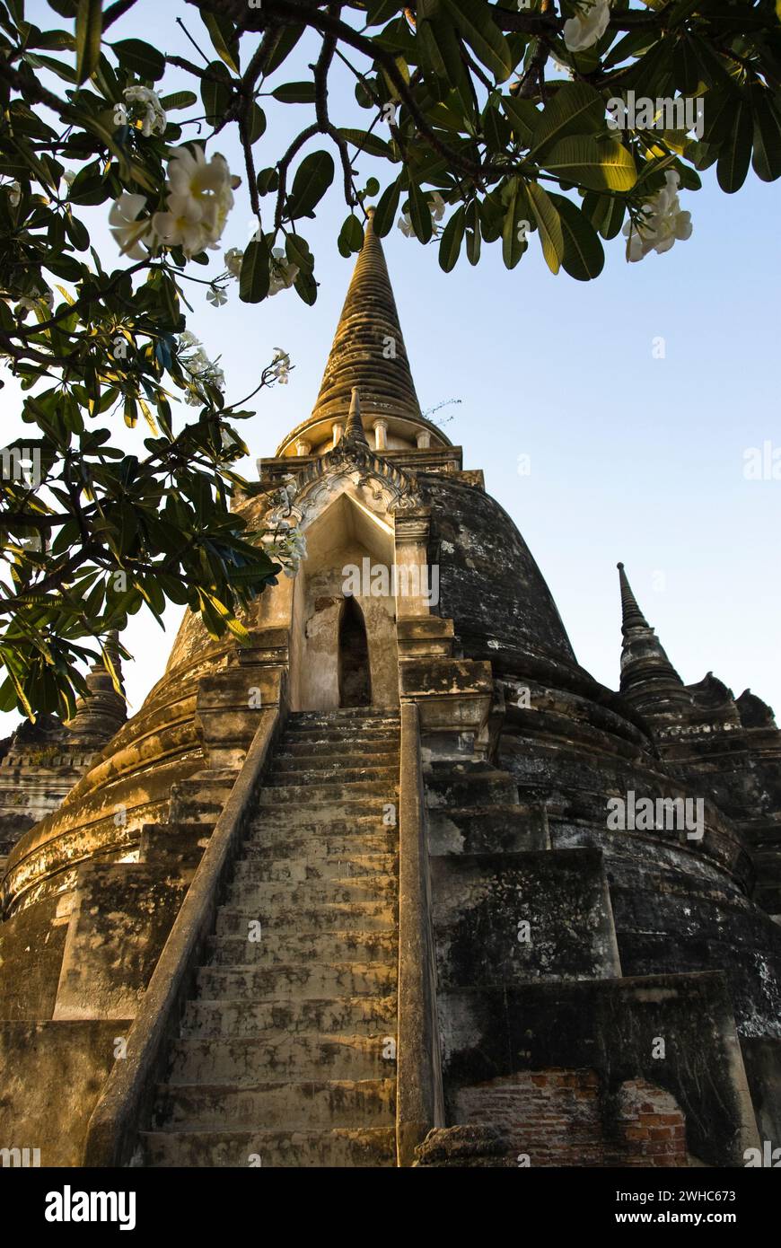 Wat Phra Si Sanphet im historischen park Ayutthaya in Thailand. Stockfoto