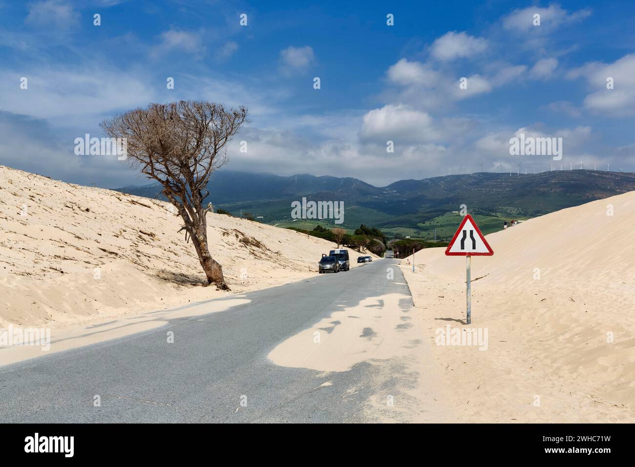 Bewegliche Düne mit Verkehrsschild, Vorsicht, schmale Spur, Verengung der Spur, Düne, Küste bei Valdevaqueros, Tarifa, Costa de la Luz, Spanien Stockfoto