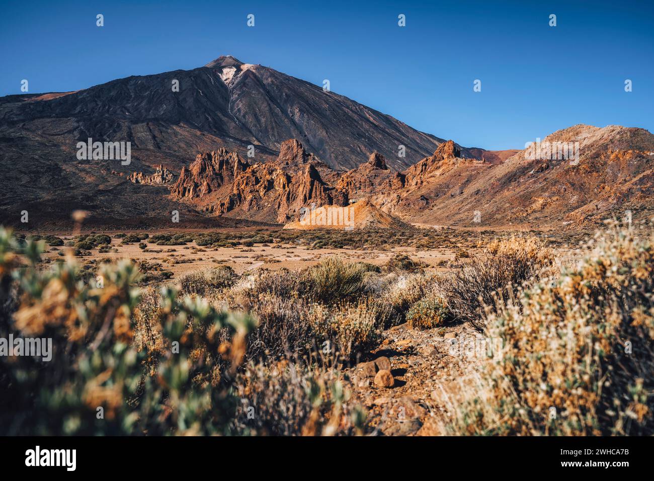 Wunderschöne Landschaft des berühmten Vulkans Pico del Teide im Teide-Nationalpark, Teneriffa, den Kanarischen Inseln, Spanien Stockfoto