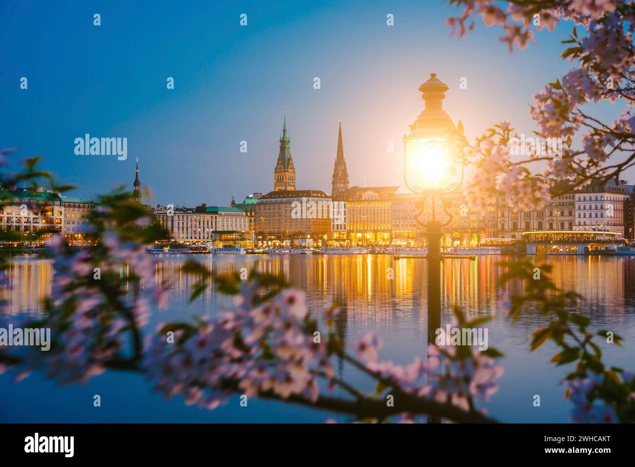 Brennt Laterne zwischen Kirschblüten auf der ruhigen und schönen Alster und dem Hamburger Rathaus - Rathaus im Frühling bei Abenddämmerung kurz nach goldener Stunde. Panorama. Stockfoto
