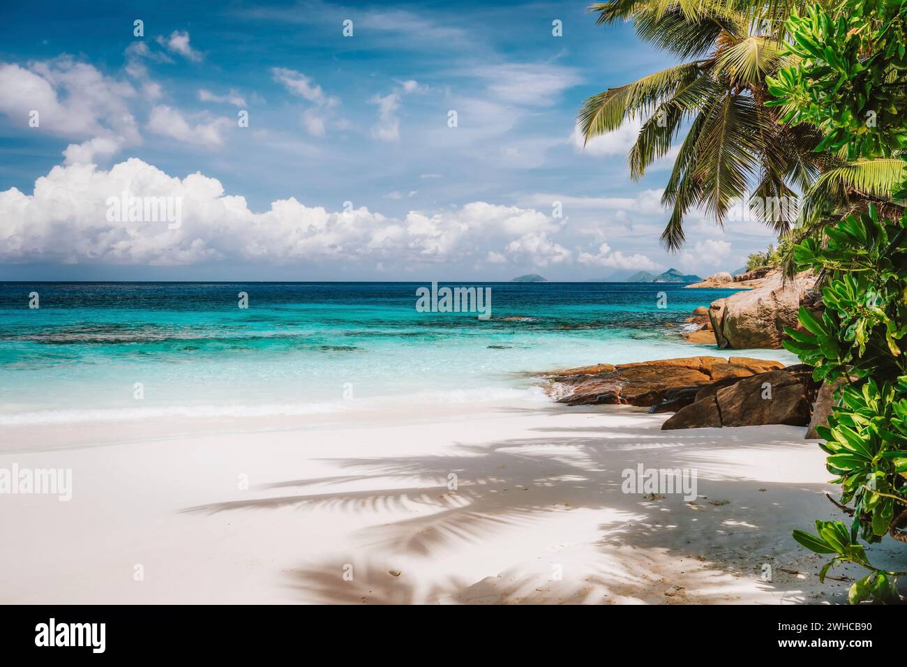 Urlaub auf dem exotischen tropischen Sandstrand auf Mahe Island, Seychellen. Exotisches Reiseziel in der Saison. Stockfoto