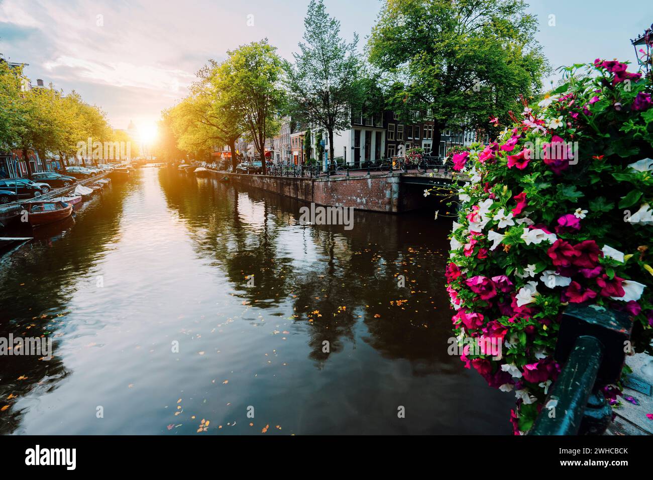 Sonnenuntergang im Herbst auf den Straßen und Kanälen von Amsterdam. Prächtige Blumen vorne. Stockfoto