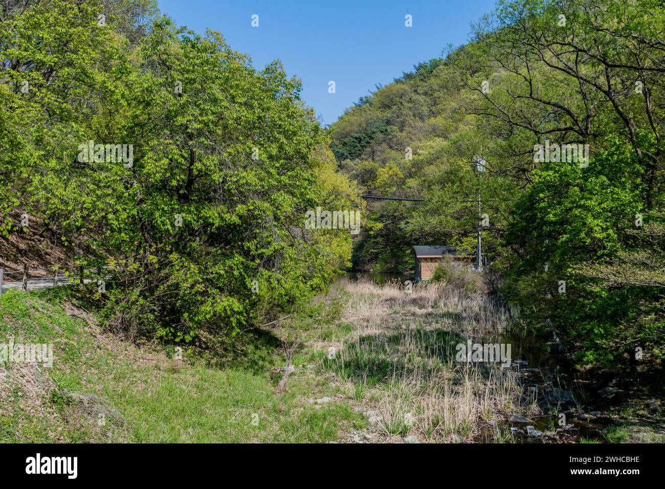 Holzwartungsschuppen, eingebettet in üppiges Laub neben dem See Stockfoto