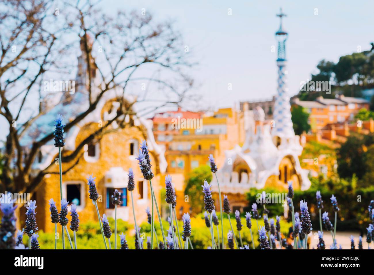 Buntes Mosaik Gebäude im Park Güell. Violett Lavendel Blume im Vordergrund. Abends warme Sonne Licht, Barcelona, Spanien. Stockfoto