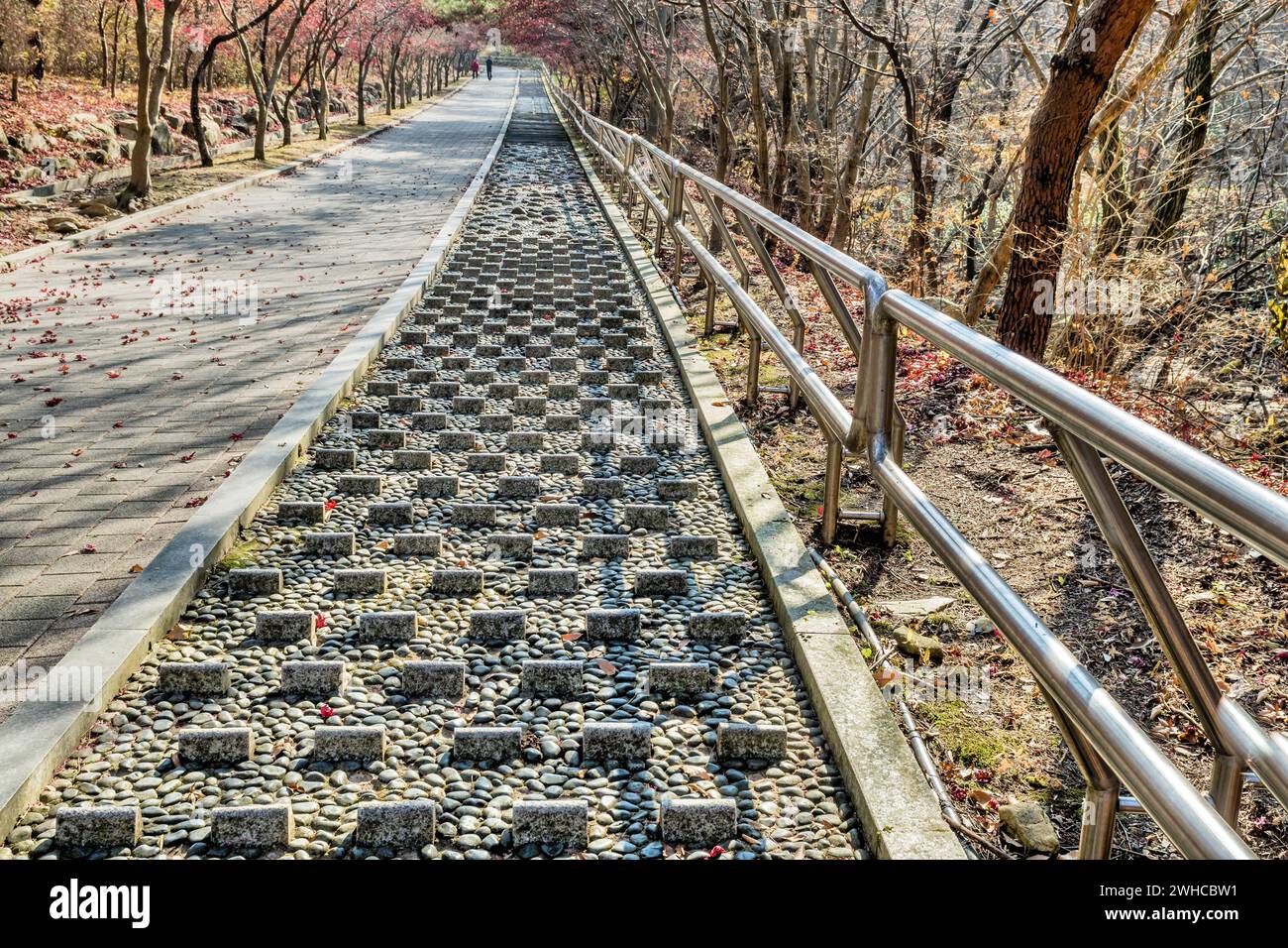 Bürgersteig mit Betonsteigern neben dem Fußweg im Wildnis Mountain Park in Südkorea Stockfoto