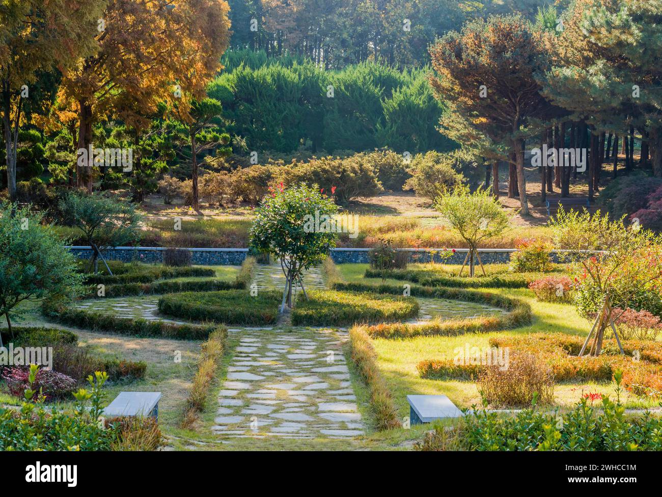 Landschaft des wunderschönen ländlichen Parks am sonnigen Herbstnachmittag in Südkorea Stockfoto