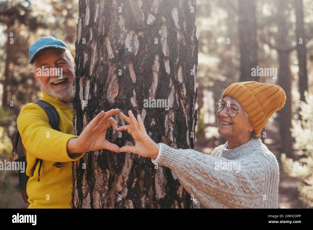Porträt, Nahaufnahme von niedlichen Paar älterer Menschen mittleren Alters, die Herzform um große Bäume herum Formen, die sich um den Lebensstil des Naturkonzepts kümmern. Zwei Rentner genießen im Freien. Stockfoto