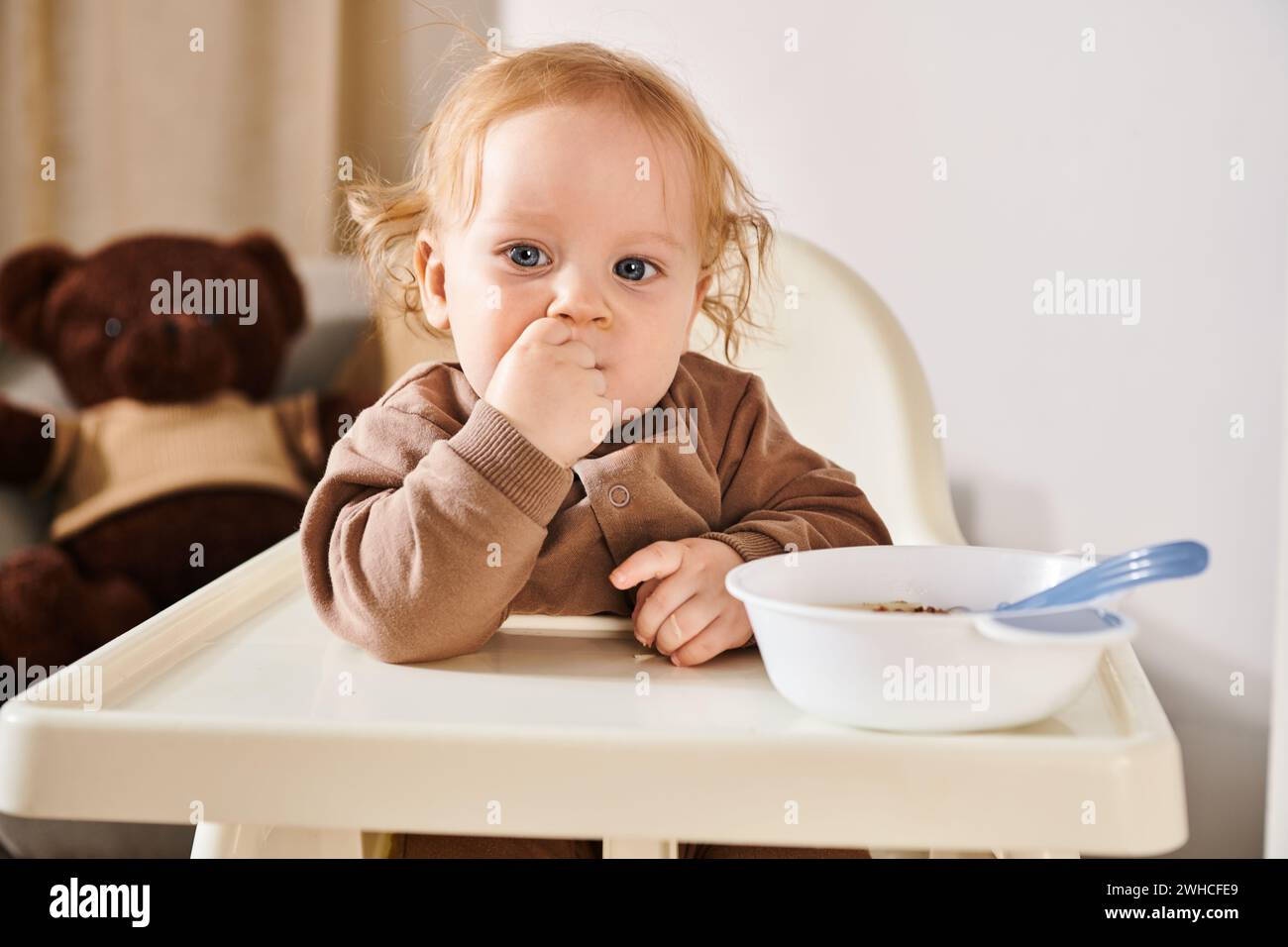 Niedlicher Kleinkinder im Kinderstuhl, der in die Kamera neben der Schüssel blickt, mit Frühstück im gemütlichen Kinderzimmer Stockfoto