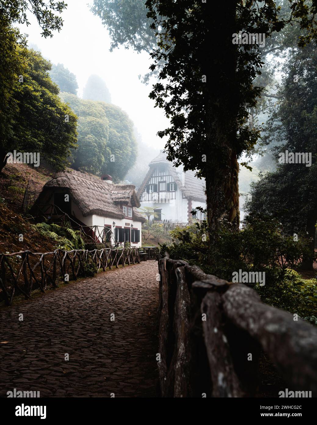Parque Florestal das Queimadas, Forest House, Autonome Region Madeira, Portugal, Europa Stockfoto