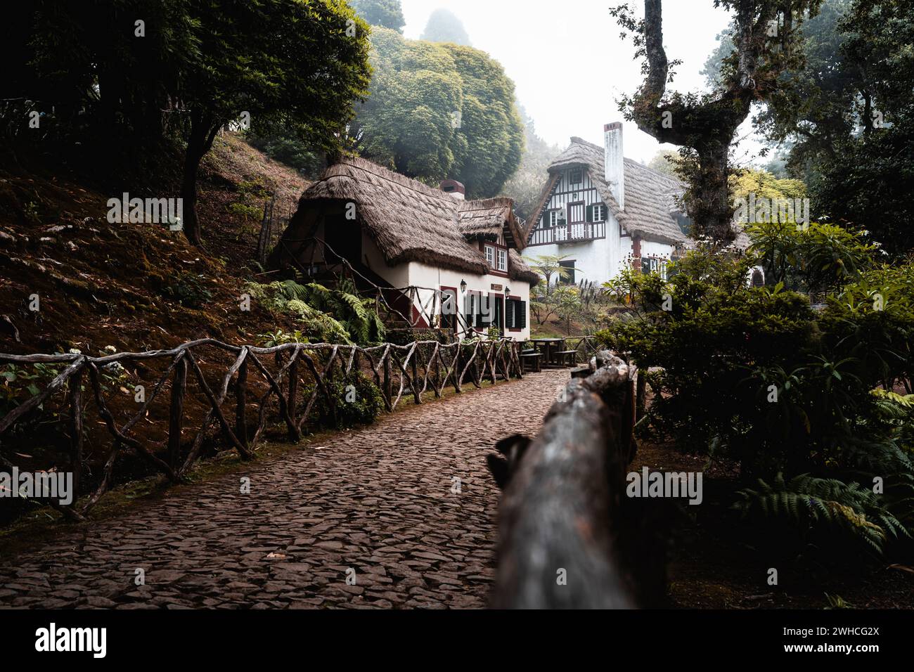 Parque Florestal das Queimadas, Forest House, Autonome Region Madeira, Portugal, Europa Stockfoto