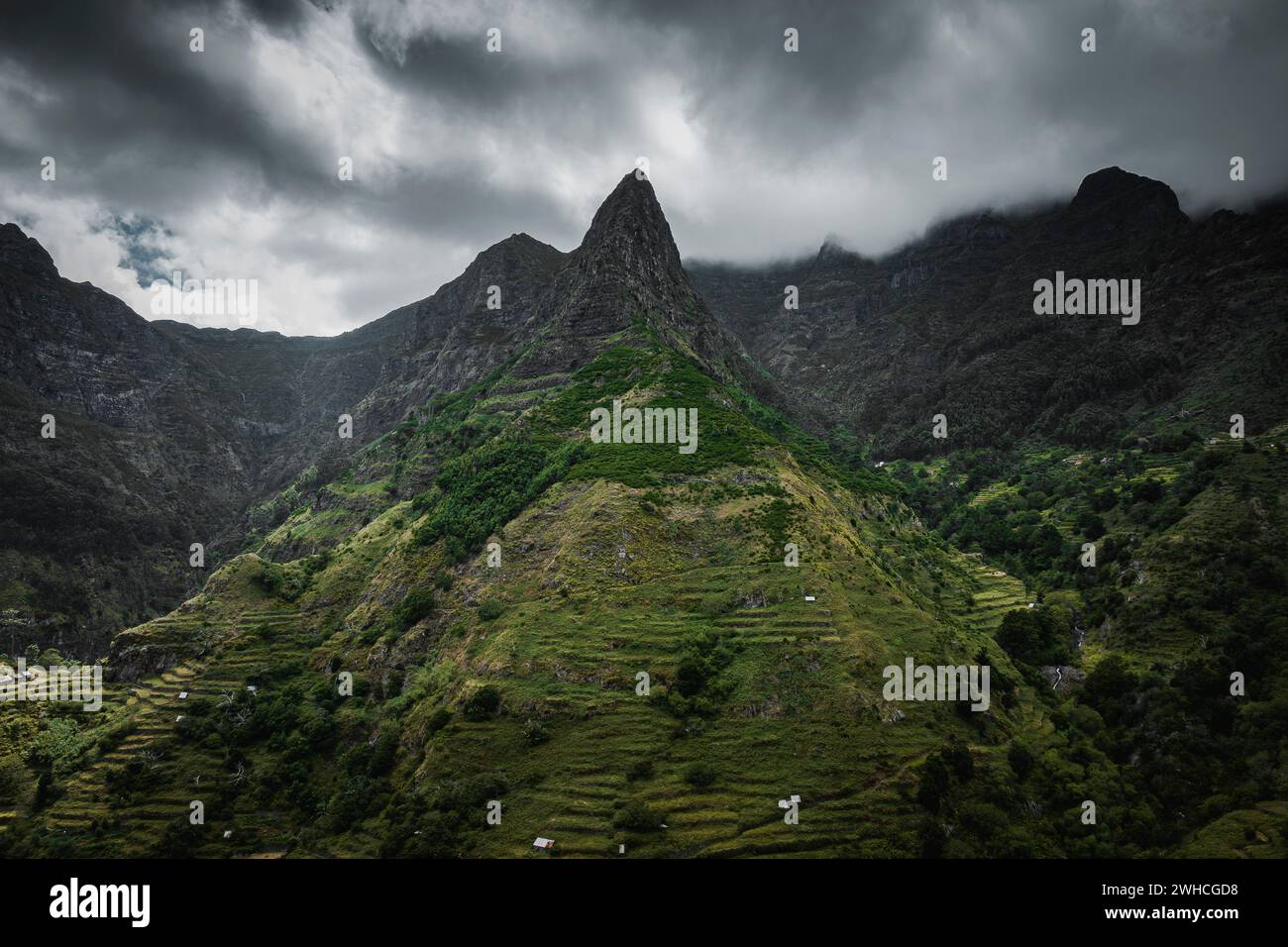 Grüne Berge von Ribeira Brava, autonome Region Madeira, Portugal, Europa Stockfoto