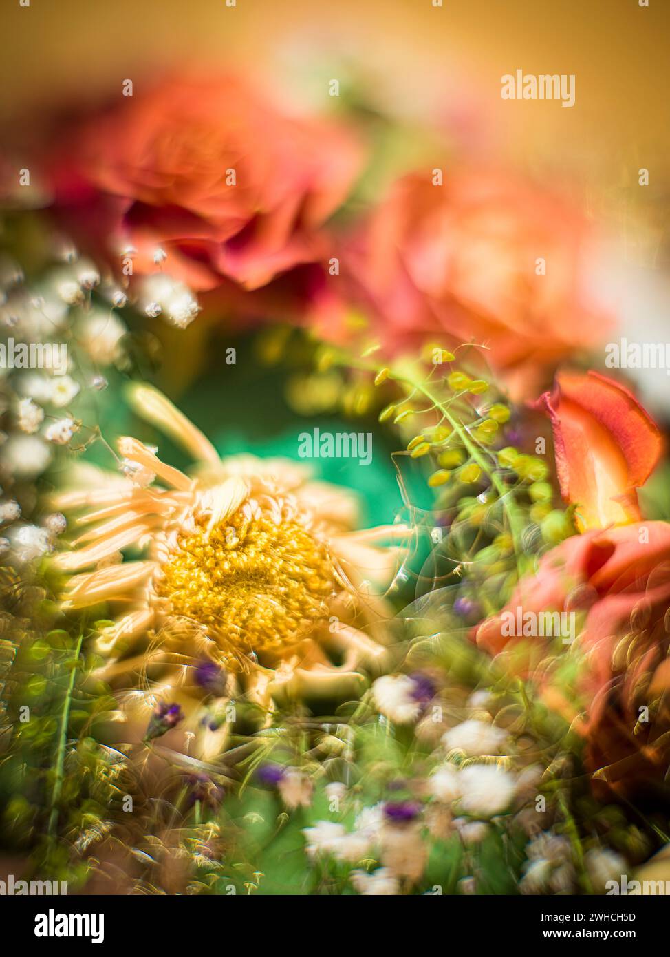 Blumenarrangements aus getrockneten Blüten Stockfoto