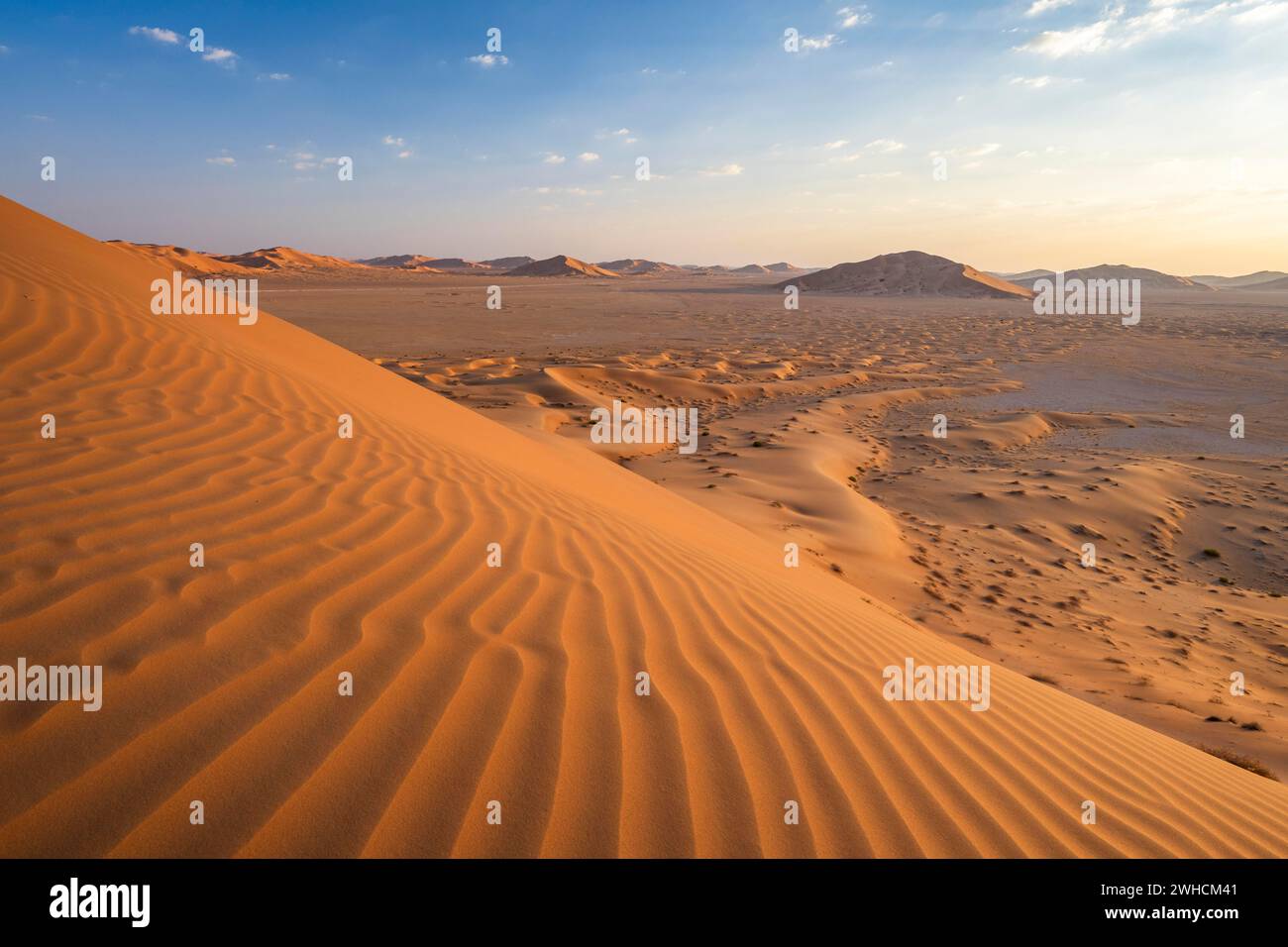 Sanddünen in der Wüste Rub Al Khali, der größten Sandwüste der Welt, Leere Quarter, Oman Stockfoto