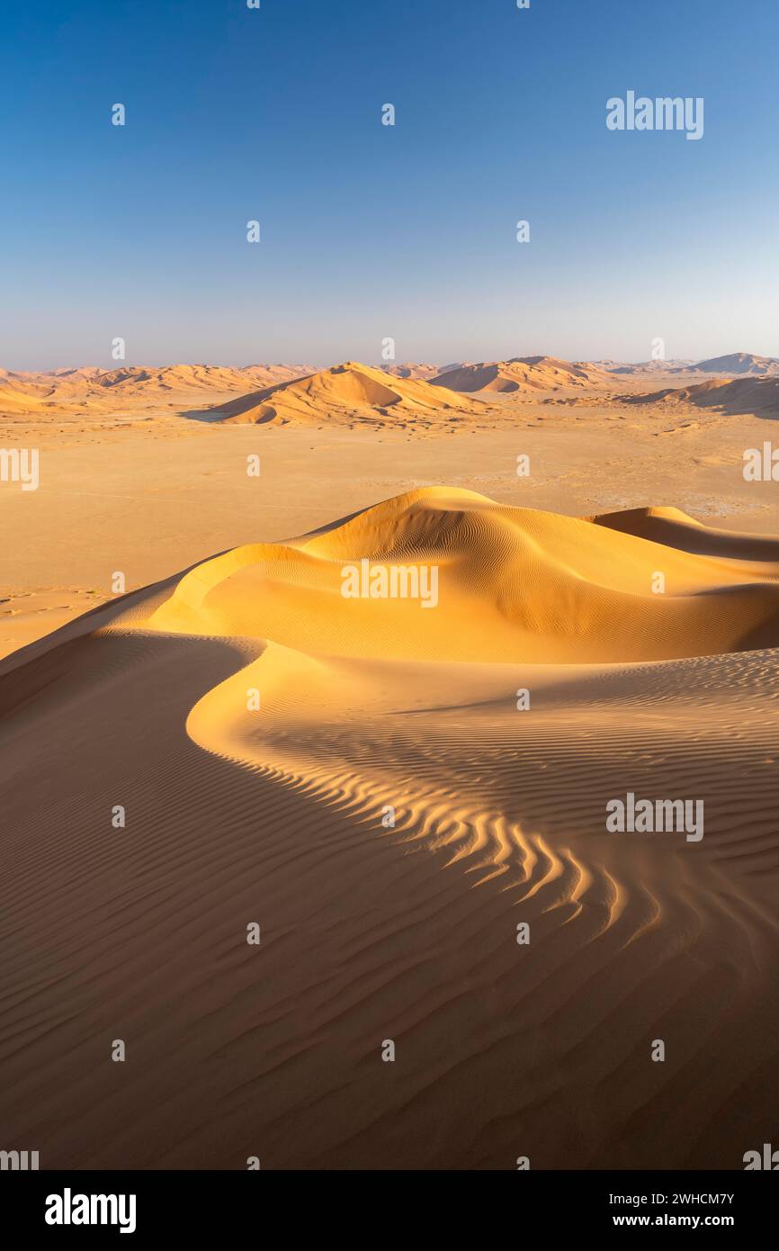 Sanddünen in der Wüste Rub Al Khali, der größten Sandwüste der Welt, Leere Quarter, Oman Stockfoto
