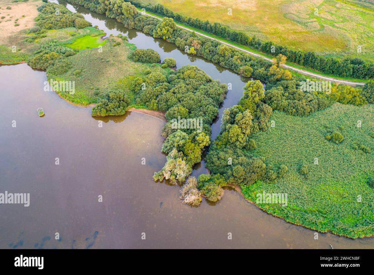 Blick aus der Vogelperspektive auf den Duemmer See, Naturschutzgebiet, Schilf, Ufer, Huede, Niedersachsen, Deutschland Stockfoto