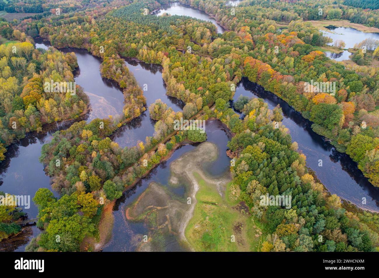 Mischwald im Herbst, Färbung, Luftaufnahme, Wald, Herbst, Ahlhroner Fischteiche, Niedersaechsische Landesforst, Ahlhorn, Niedersachsen, Deutschland Stockfoto