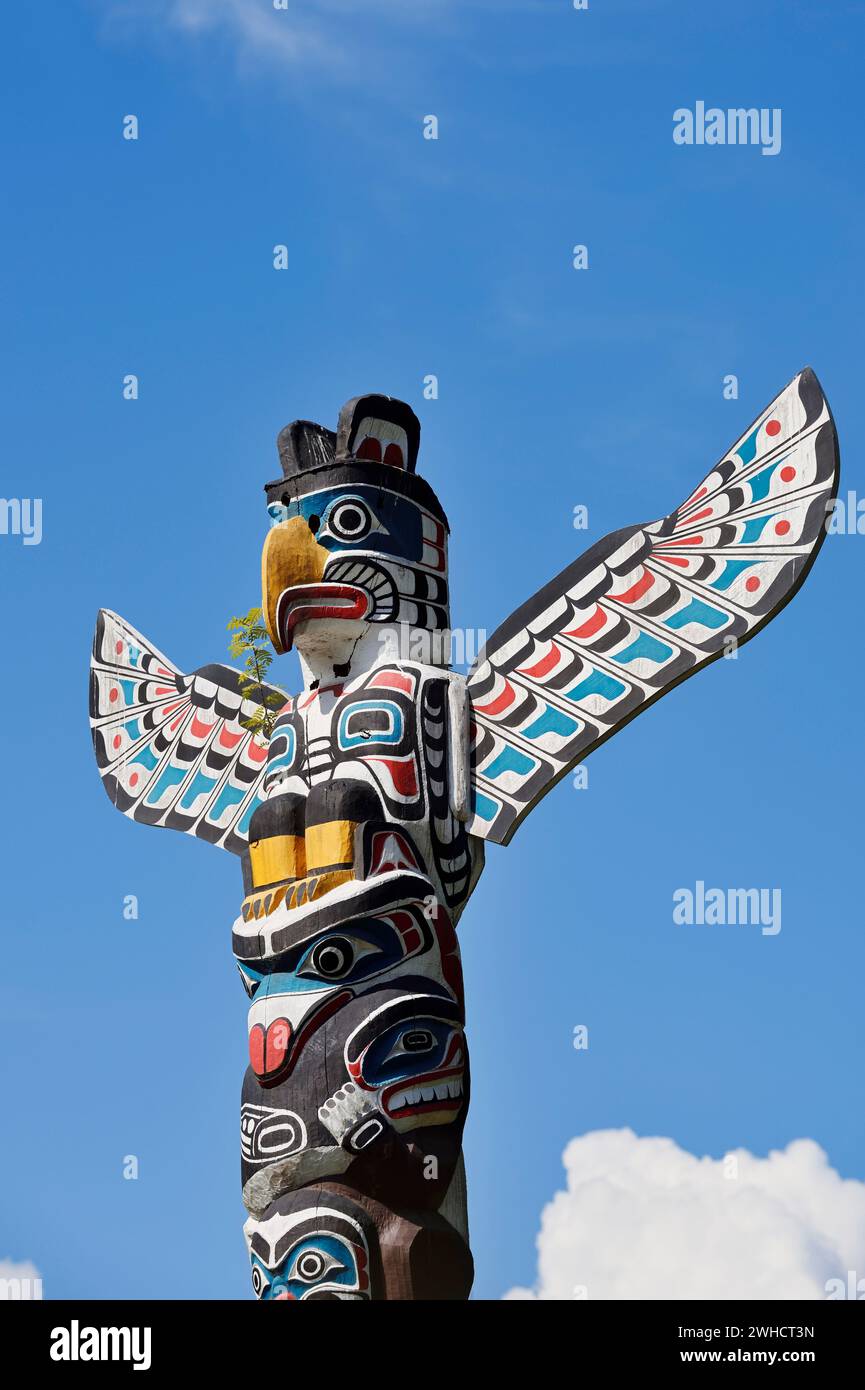 Totem Pole, Kakaso'Las Totem Pole, Stanley Park, Vancouver, British Columbia, Kanada Stockfoto