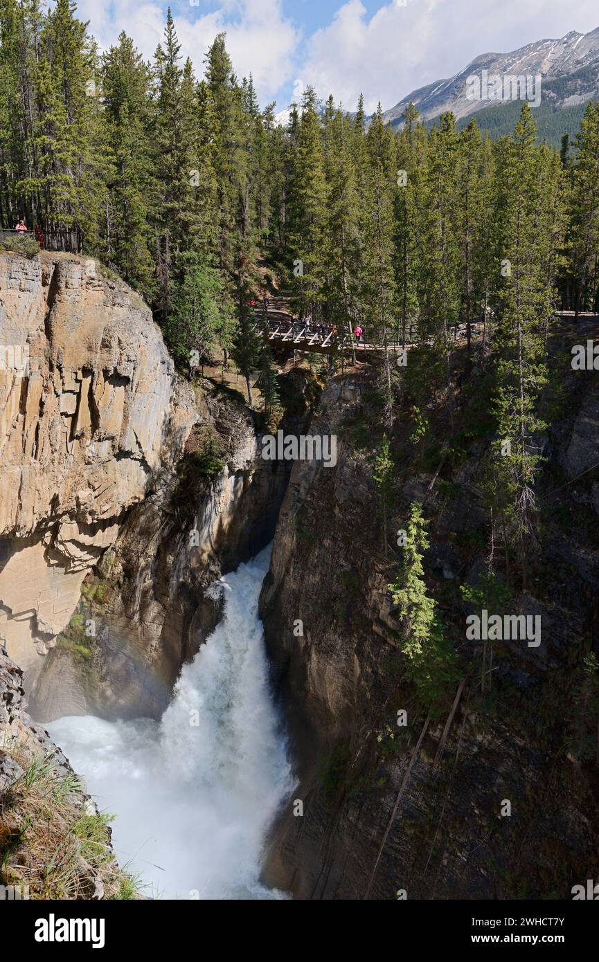 Sunwapta Falls Wasserfall, Sunwapta River, Icefields Parkway, Jasper National Park, Alberta, Kanada Stockfoto