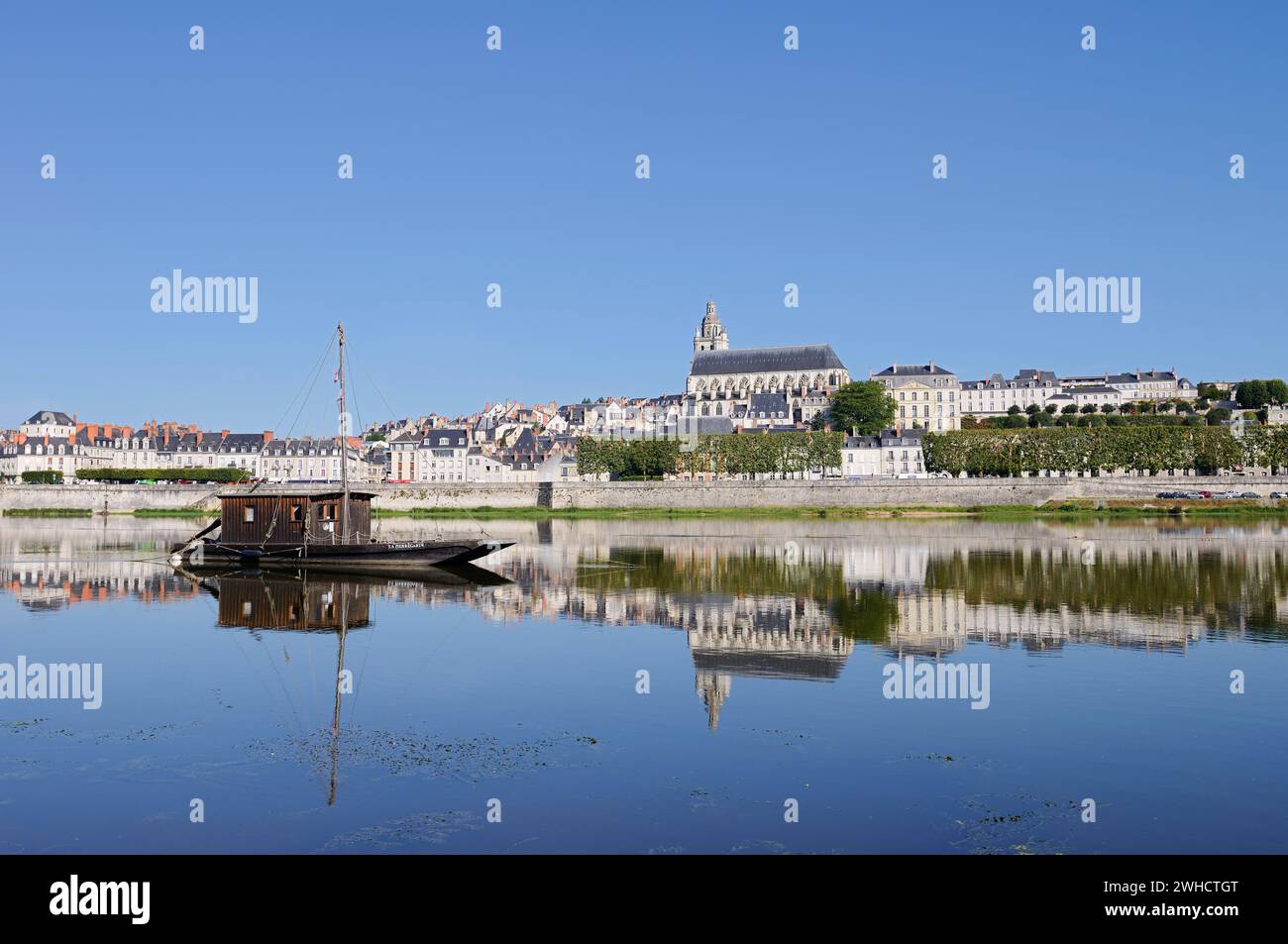 Blick auf Blois mit Kathedrale Saint-Louis, Blois, Departement Loir-et-Cher, Region Centre-Val de Loire, Frankreich Stockfoto