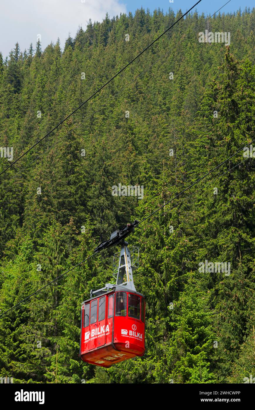 Eine rote Seilbahngondel, die über dichten Tannen in einem Bergwald schwebt, Balea Cascada Seilbahnstation, Transfogarasan High Road Stockfoto