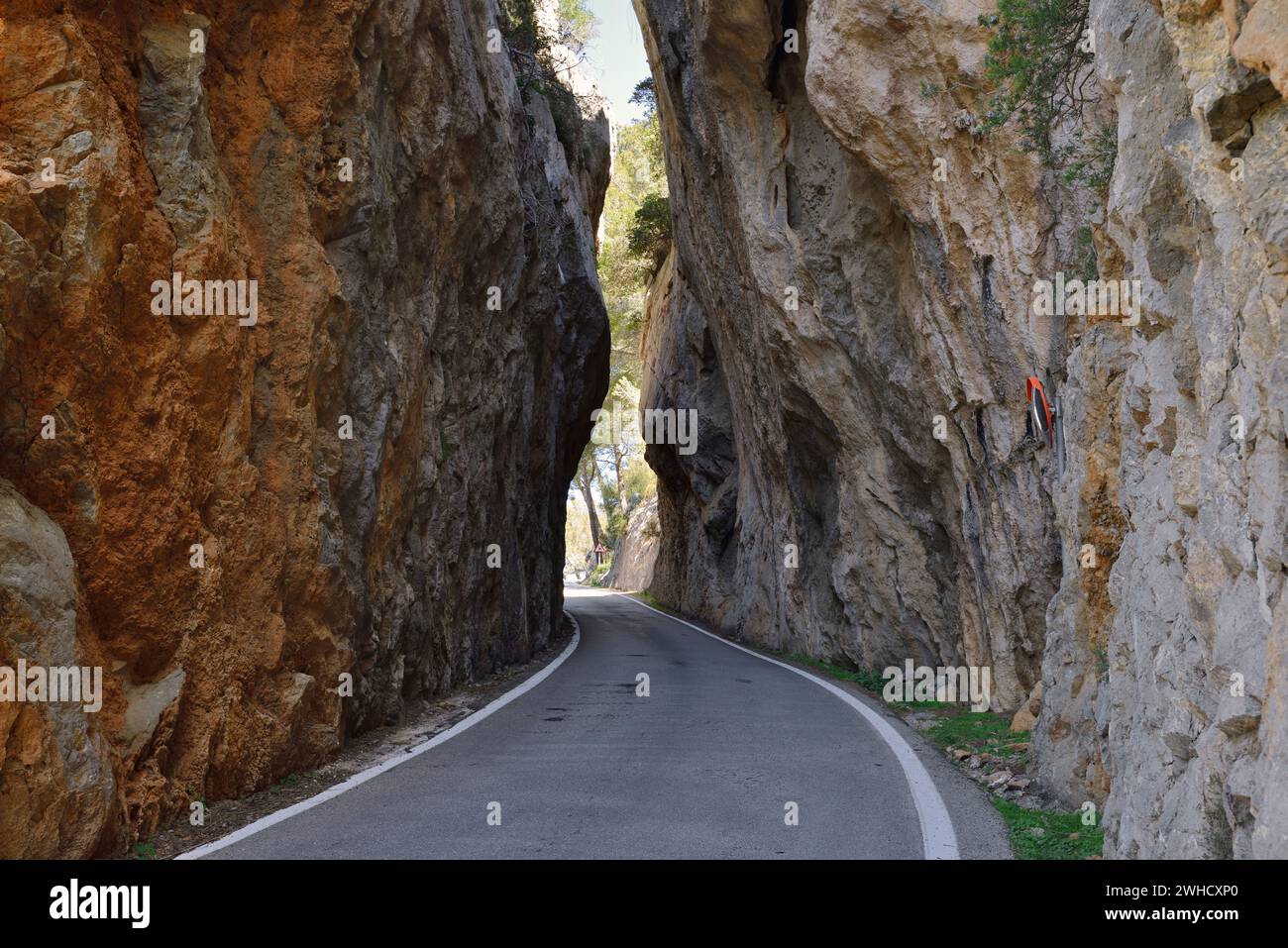 Enge Felsschlucht an der Bergstraße nach Sa Calobra, Serra de Tramuntana, Mallorca, Balearen, Spanien Stockfoto